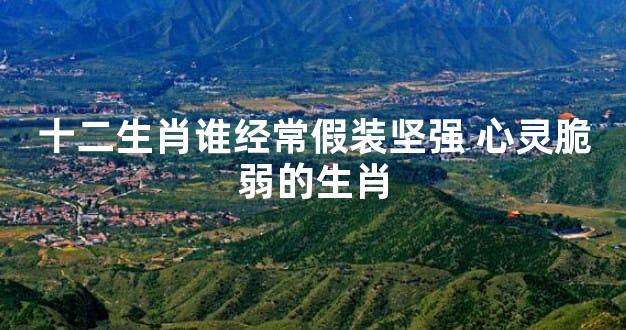 十二生肖谁经常假装坚强 心灵脆弱的生肖